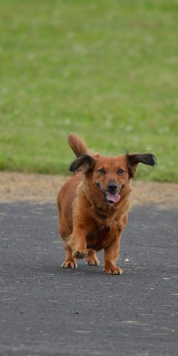 2013 Suche 29062013 Michal